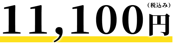 11,100円（税込み）