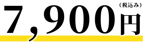7,900円（税込み）